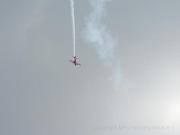 Abacus Airshow Augsburg 2008 325